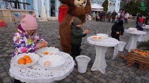 3-й Чемпионат по очистке мандаринов в Железноводске.