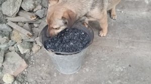 Херсонщина 21 декабря 2025 года