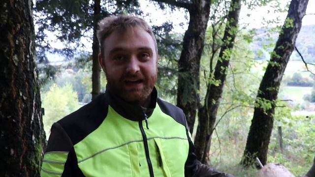 Stihl MS 361 против Stihl MS 362 | Сравнение резки | Бензопилы