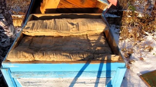 ЗИМОВКА СРЕДНЕРУССКИХ ПЧЕЛ НА ВОЛЕ.  ПРОСТО И НАДЕЖНО .