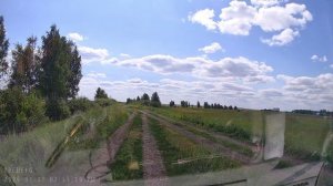 От Кулунды до Белого моря