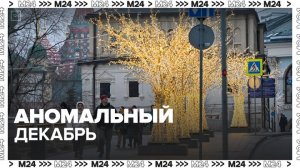 Декабрь завершится в Москве аномалией температуры и дефицитом осадков - Москва 24