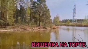 БЫЛ ЗАМЕЧЕН В ОДНУШКЕ! ОЛЬГА УРАЛОЧКА LIVE. ОБЗОР.