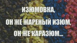 065_Изюмовка, он же жареный изюм, он же каразюм