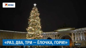 Главная ель Петербурга зажгла огни
