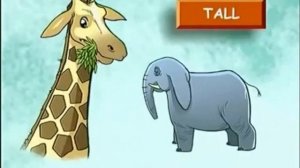 Spotlight 4 - Module 4, Unit 8a - Ex.3 p.62 - Giraffes are taller than elephants