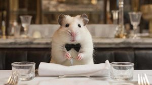 РАЗВЛЕКАТЕЛЬНОЕ ВИДЕО ДЛЯ ДЕТЕЙ