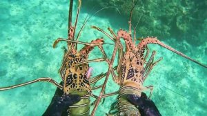 Подводная охота / Красивая прозрачная и ОЧЕНЬ ГОЛУБАЯ ВОДА