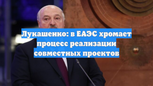 Лукашенко: в ЕАЭС хромает процесс реализации совместных проектов