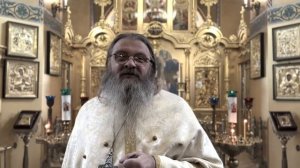 Протоиерей Сергий Баранов - Грех неблагодарности