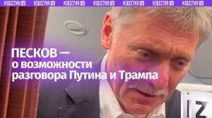 Песков — о возможном разговоре Путина и Трампа