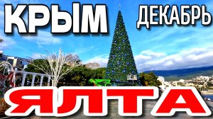 ЯЛТА. 🌲 К НОВОМУ ГОДУ ВСЕ ГОТОВО. 🌴 КРЫМСКАЯ ЗИМА. ДЕКАБРЬ. #крым #ялта