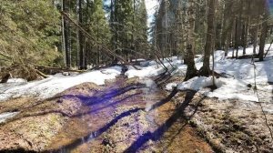 Сплав по КОСЬВЕ и УСЬВЕ