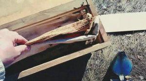 НАЧИНАЮЩИМ. НЕМНОГО О ЗИМОВКЕ СЛАБЫХ СР СЕМЕЙ