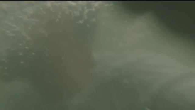 Я ухожу смотреть онлайн