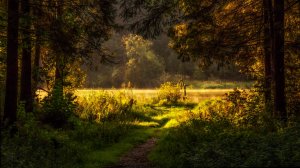 Узкий Путь на "Широкой дороге" выздоровления