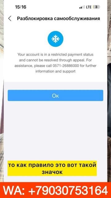 Как разморозить Алипей смотреть онлайн