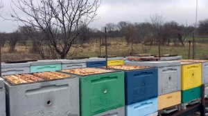 Мойка рамок в каустике.