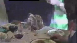 Бедняжки глодали косточки.