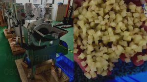 Нарезка овощей, фруктов, картофеля на кубики, Vega Dicer 800 | Машина для нарезки овощей и фруктов