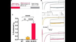Тихий и жестокий убийцы одного гена SCN5A: синдром удлиненного интервала QT 3-го типа (LQTS3)