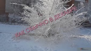 КАК ОБЫЧНО В ДЕКАБРЕ - Жанна Вишнякова Арс