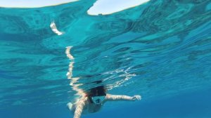 2025-11-24_102642 Рыбки Хромис Шоколад