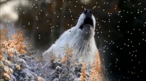 С НОВЫМ ГОДОМ