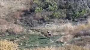 СВОих не бросаем😎🫡🤙🤍💙❤️🇷🇺🇷🇺🇷🇺