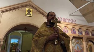 Проповедь иерея Павла Каледы в Неделю 28-ю по Пятидесятнице