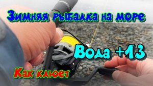 Рыбачим в Чёрном море ЗИМОЙ! Как клюёт при +13°C?