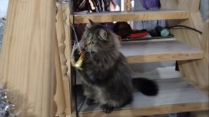 ПРОСТАЯ ЖИЗНЬ 45 //НАШИ ВЫХОДНЫЕ ДНИ //КАК ДЕНЬ СУРКА И ПЕНСИОНЕРОВ