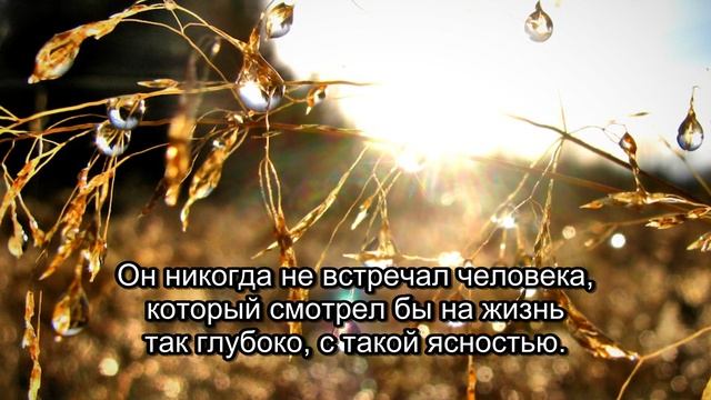 Четверо Мини-Я: Шокирующая Встреча Владимира (Часть 5) смотреть онлайн