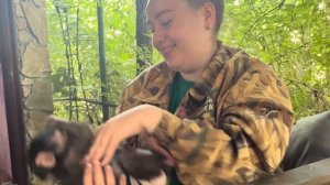 Анфиса грызет все, даже камни, а как мило она чистит и ест зеленый горошек)))