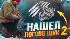 ПОПАЛ НА РАЗДАЧУ ЩУКИ. ЗИМНЯЯ РЫБАЛКА НА ЖЕРЛИЦЫ 2025. НАШЕЛ ЛОГОВО ЩУК.