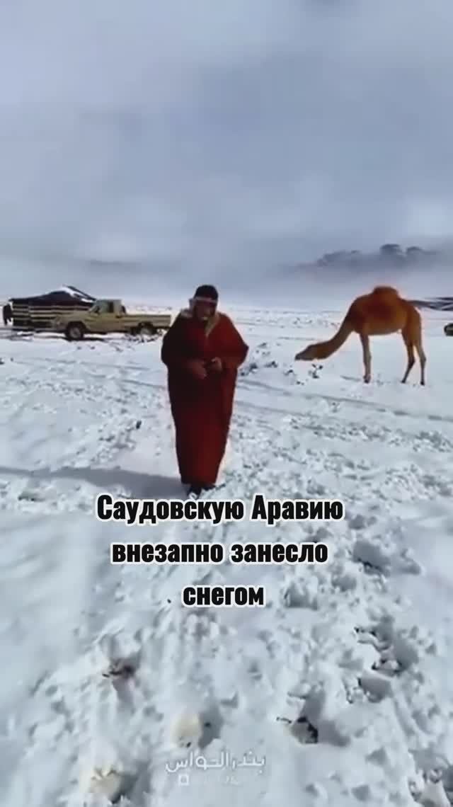 Саудовскую Аравию внезапно занесло снегом смотреть онлайн