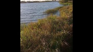 музыка Морошка. озеро Волохница