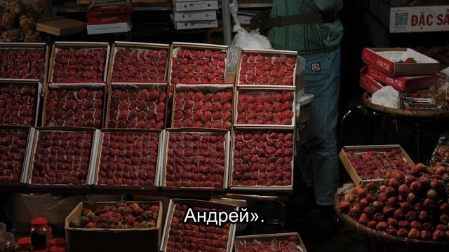 Пропавшая свадьба: Открытие после 12 лет в Приокском заповеднике (Часть 6) смотреть онлайн