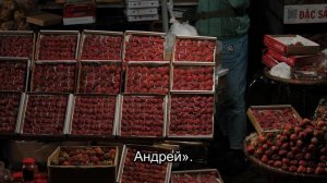 Пропавшая свадьба: Открытие после 12 лет в Приокском заповеднике (Часть 6)