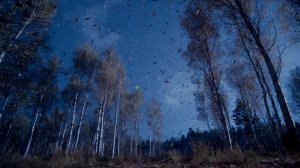 Родительский дом...