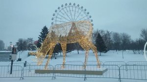 Большие Олени Нового года!