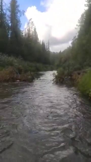 Препятствие Сплав Тайга Сибирь река Рудиковка 2025 Охота смотреть онлайн