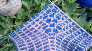 95. МК# "ВАСИЛЬКИ" #ДОМАШНИЕ БАШМАЧКИ # ВЫСОКИЕ  ТАПОЧКИ - СЛЕДОЧКИ НА ДВУХ СПИЦАХ БЕЗ ШВОВ #