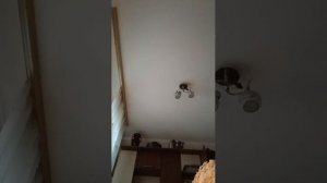 быть может стрим