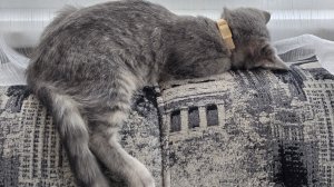 Влог с 15-21.12.25 На работе с каждым днём всё жарче 😁