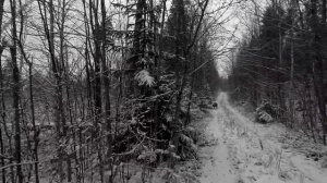 ЧТО СКРЫВАЕТ ИЗБА В ЛЕСУ. ПОХОД К ИЗБУШКЕ В ГЛУШИ. ПОХОД В ТАЙГУ С СОБАКОЙ. ИЗБУШКА НА КРАЮ СВЕТА