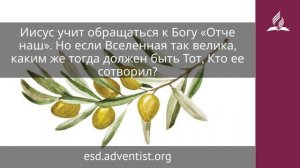 21 декабря 2025. Отец, Который на небесах. Под сенью благодати | Адвентисты