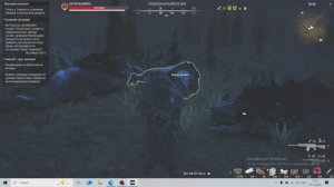 СТАЛКЕР ОНЛАЙН ГОРОД-N