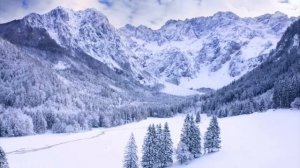 закон вселенной 1