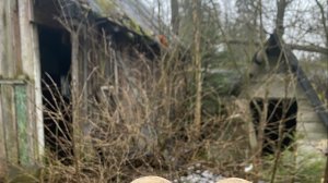 Деньги под ногами или как мы копили на квадроцикл